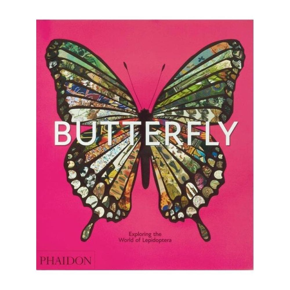 Butterfly - Exploring The World Of Lepidoptera