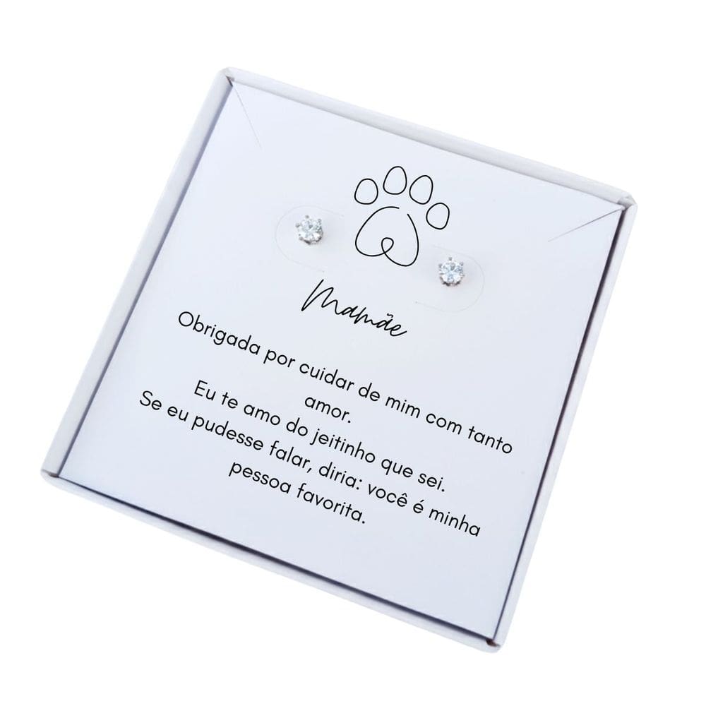 Brinco ponto de luz aço - Caixa presente com frase Mãe de Pet