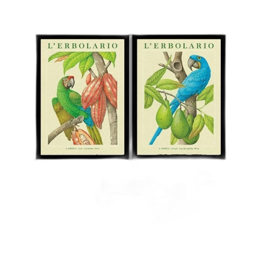 Kit 2 Quadros Botânicos Araras Tropicais 33X24Cm - Com Vidro