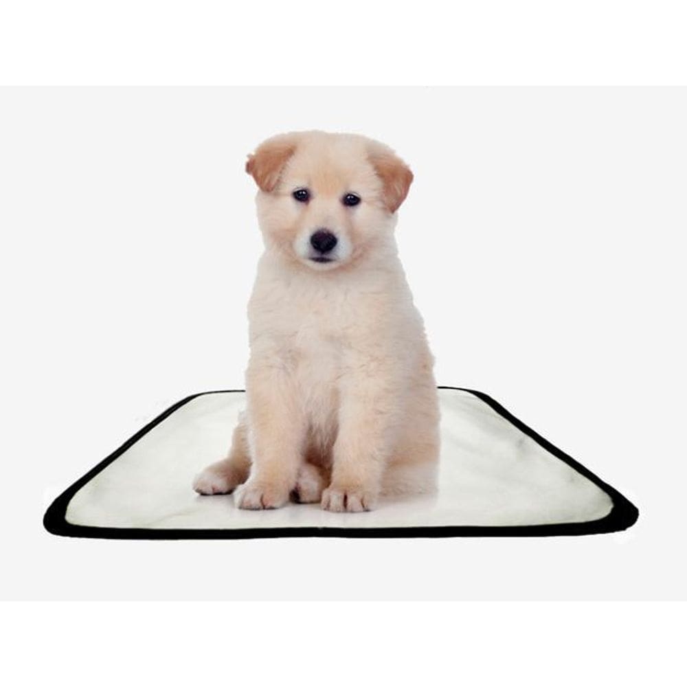 Tapete Pet Lavável Adestramento Higiênico 7 Un Pp 40X50Cm