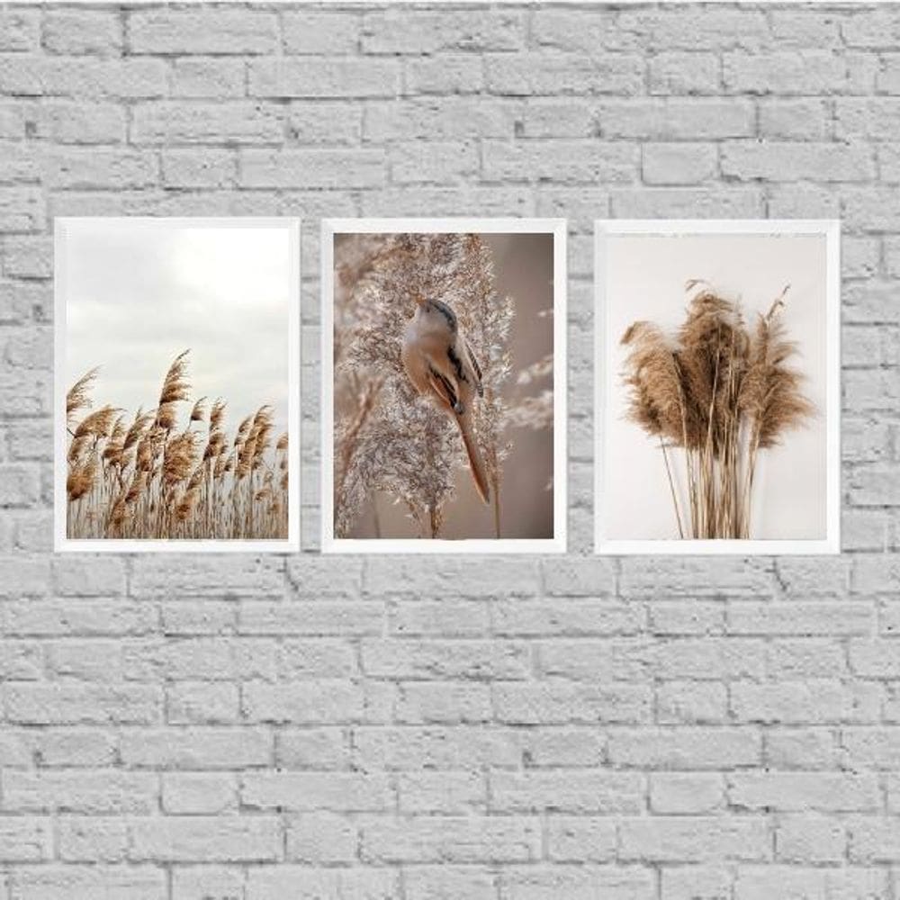 Kit 3 Quadros Capim Dos Pampas E Passarinho 24X18Cm - Vidro