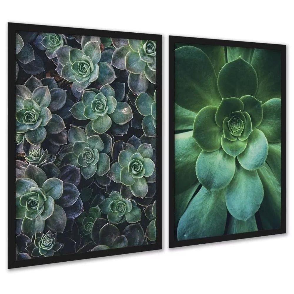 Kit 2 Quadros Decorativos Suculentas 45X34Cm - Com Vidro