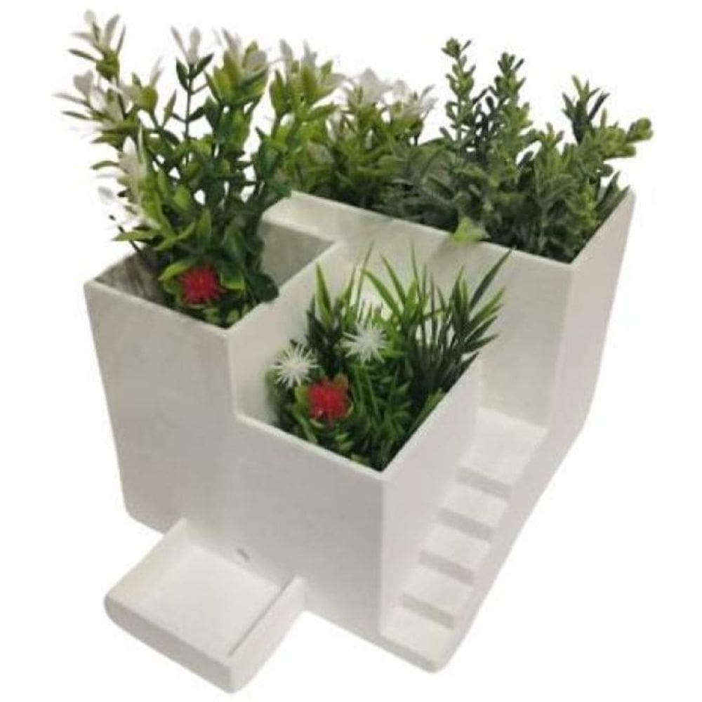 Vaso Charmoso Para Suculentas E Cactus Casa Das Plantas