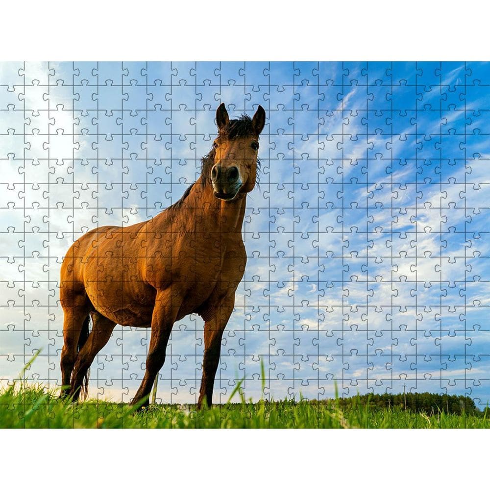 Quebra-Cabeça Inclusivo 300 Peças Cavalos Elite Que Encantam