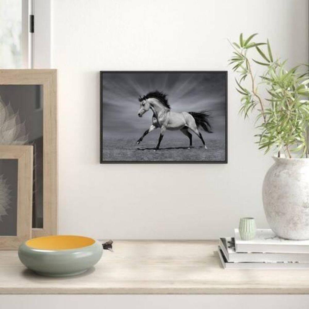 Quadro Decorativo Fotografia Cavalo Preto E Branco 24X18Cm