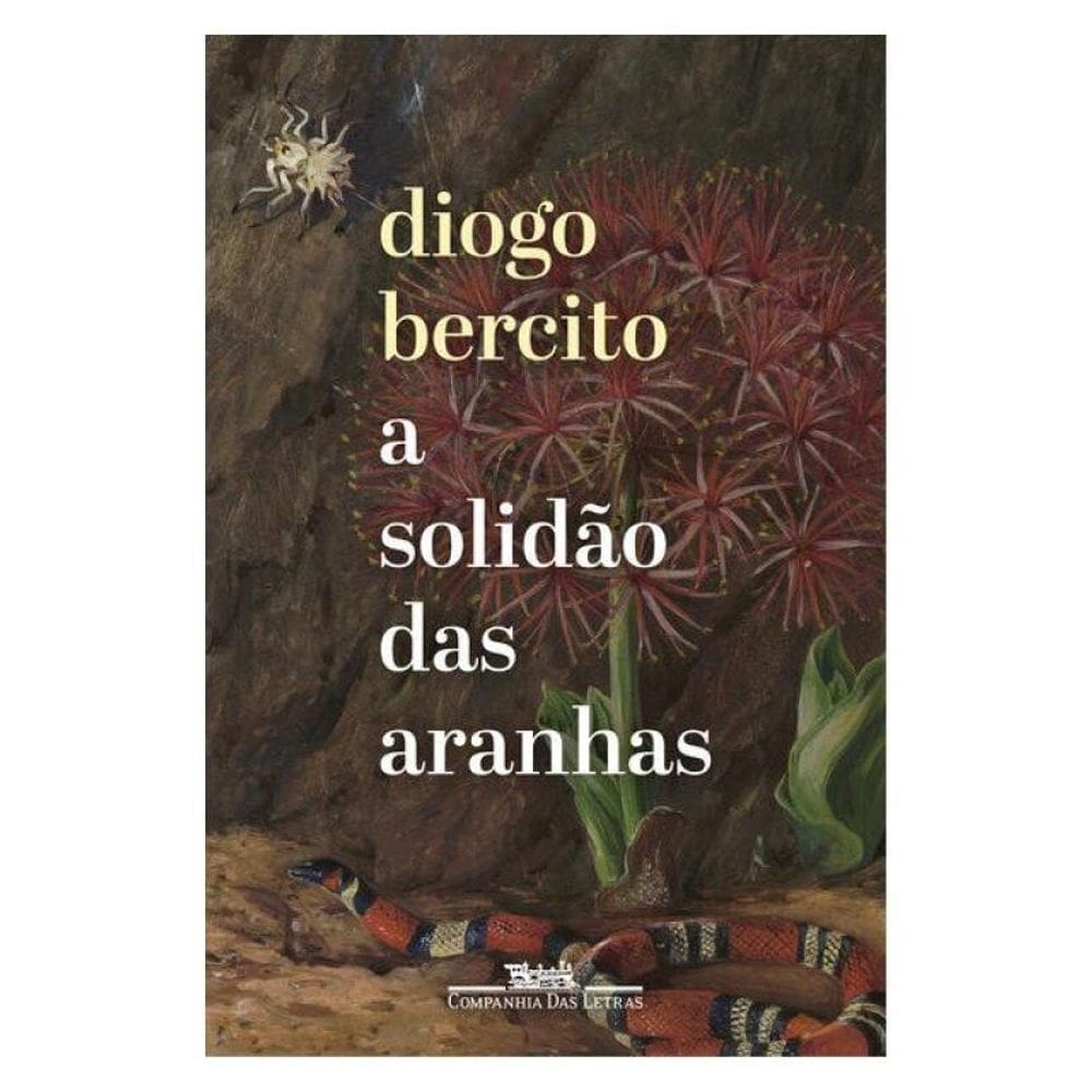 A Solidão Das Aranhas