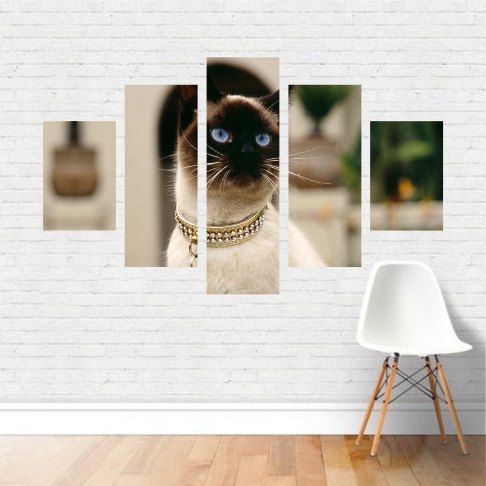 Quadro em tela Canvas  Gato Siamês Felino Mascote  110x65