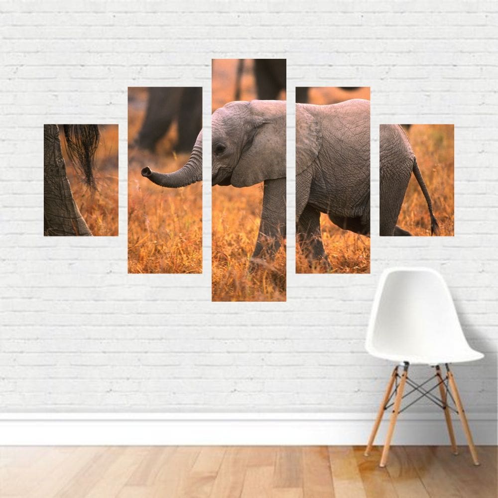 Quadro em tela Canvas  Elefante Filhote Caminhando  110x65