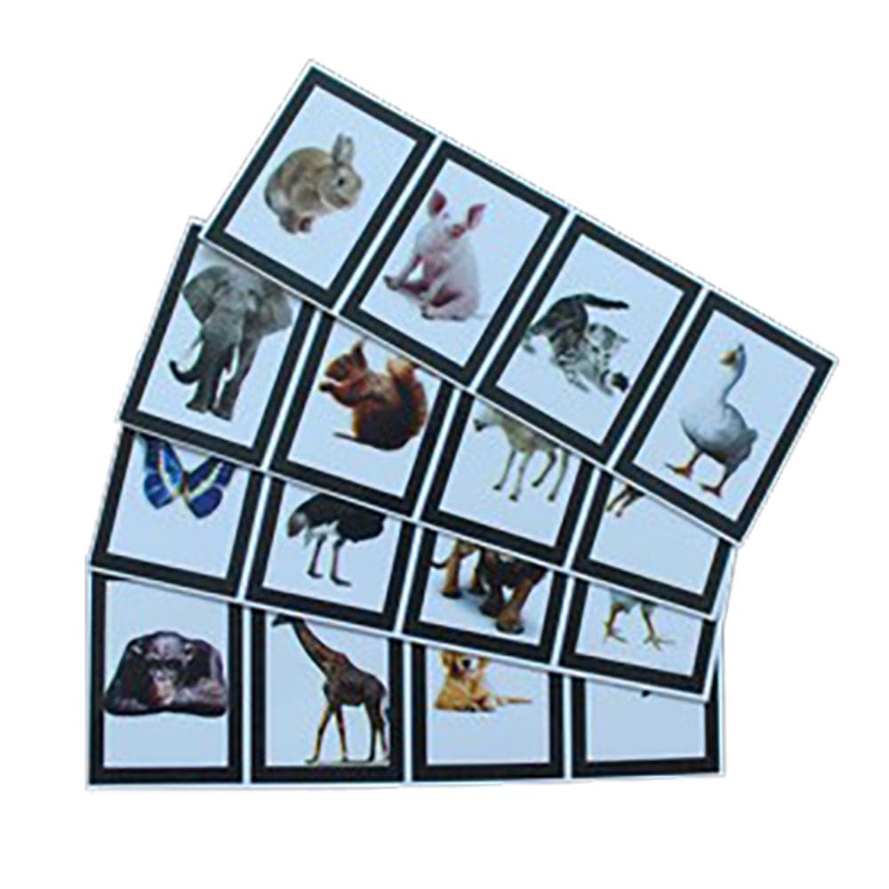 Mágica Animental Magic Up  Mágica Com Animais