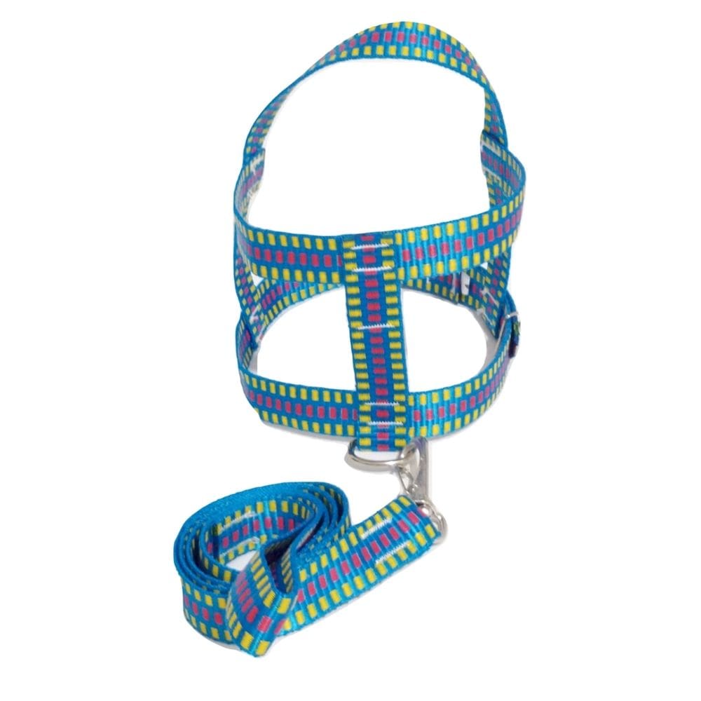 Guia com peitoral 25mm azul quadriculado 6 53 cm a 70 cm