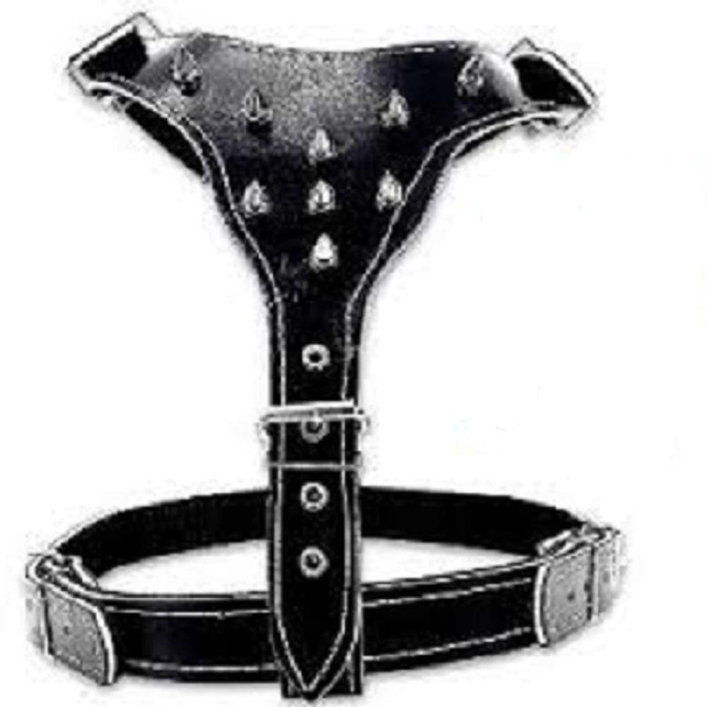 Peitoral Forrado de Pit Bull Com Cravo