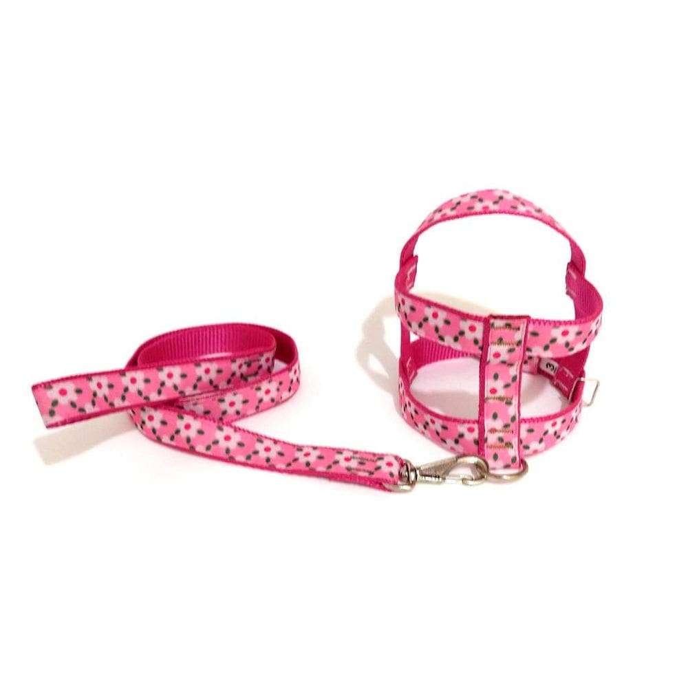 Conjunto Guia Peitoral 25mm Vermelho Tamanho 3  42cm-48 cm