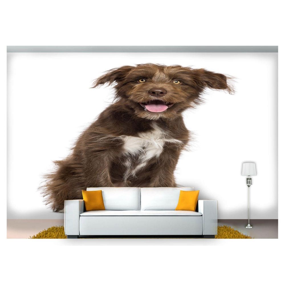 Papel De Parede Cachorro Vira Lata Sentado 3D Anm244