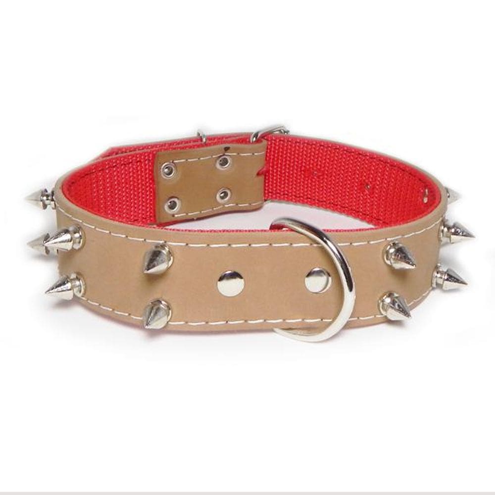 Coleira Couro Top Rubber Forrada Dupla Com Cravo  Pitbull