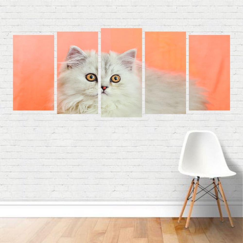 Quadro Animais Gato Persa Branco Doméstico Estimação Canvas
