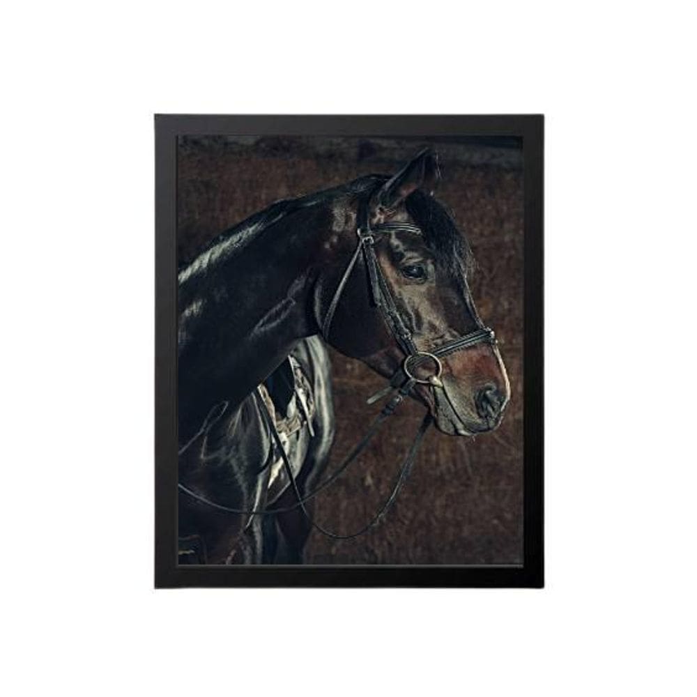 Quadro Decorativo Cavalo Perfil 34X23Cm
