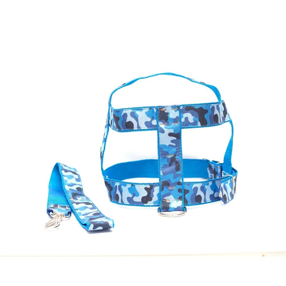 Kit Guia com peitoral 25mm azul tamanho 7  54 cm a 68 cm