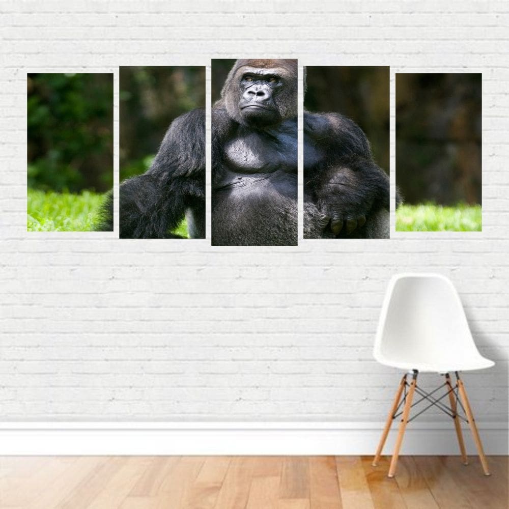 Quadro Animais Gorila Macaco Primata Monkey Grama Canvas