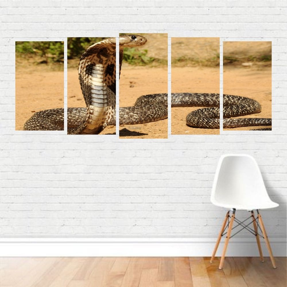 Quadro Animais Naja Cobra Serpente Peçonhento Rastejante Canvas