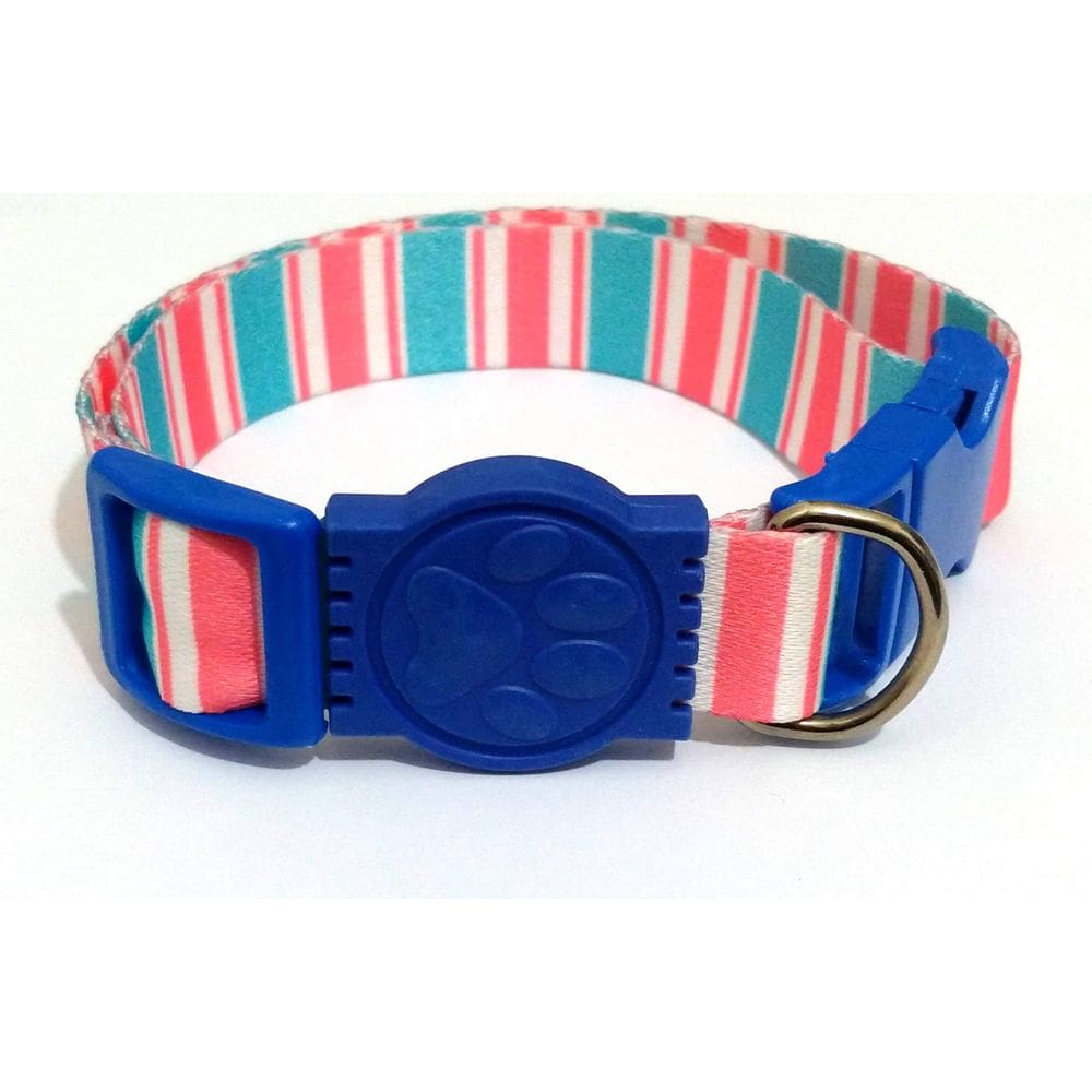 Coleira Seda 25mm azul listrado Tamanho Único  32cm49cm