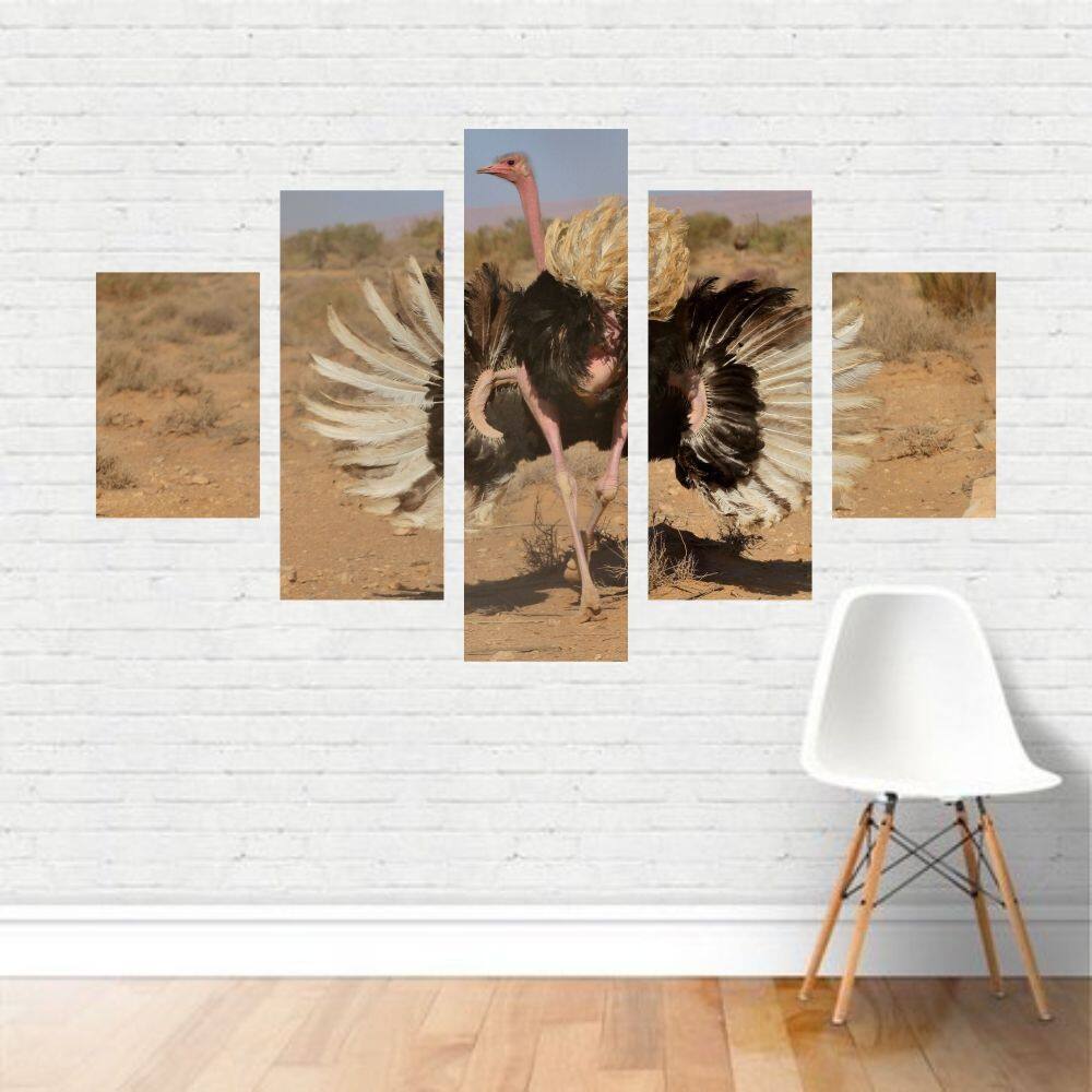 Quadro em tela Canvas  Avestruz Pássaro Ave Deserto 110x65