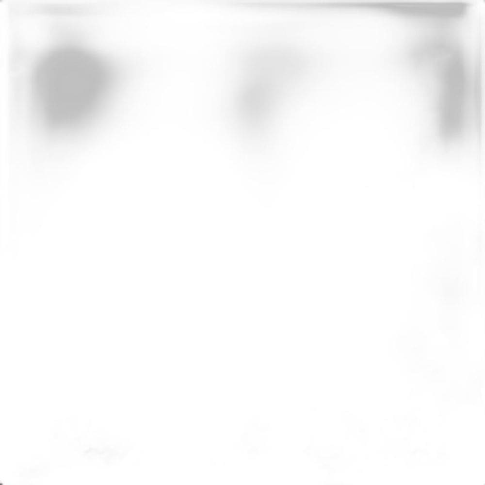 Papel De Parede Floral Rosas Vermelhas Fundo Verde Adesivo