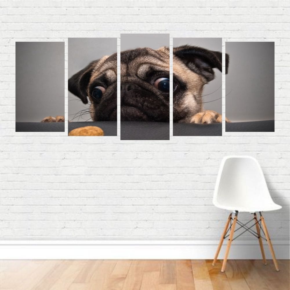 Quadro Animais Raça Pug Cachorro Cão Petisco Doméstico Canva
