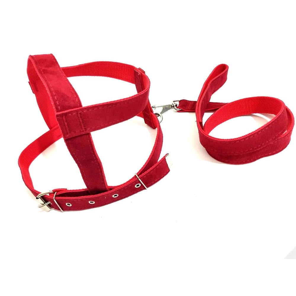 Conjunto Peitoral e Guia de Camurça 25mm Vermelho Tamanho 5