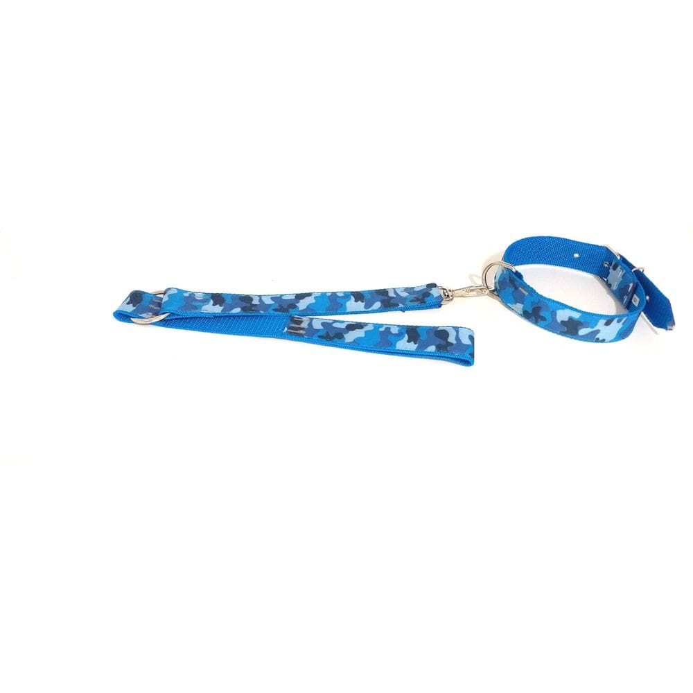 Coleira e guia com argola 40 mm azul tamanho nº.6