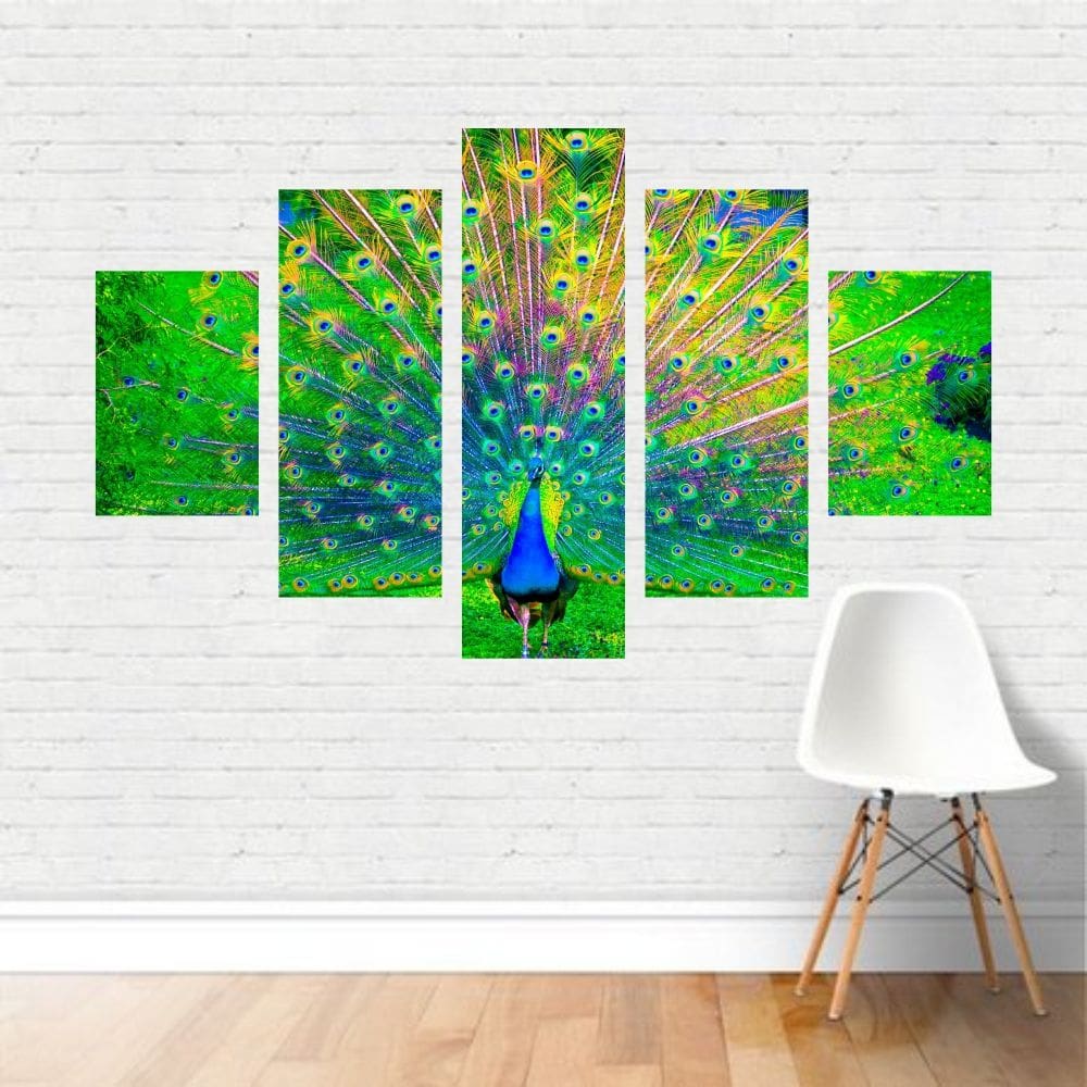 Quadro em tela Canvas  Pavão Indiano Colorido Ave  110x65