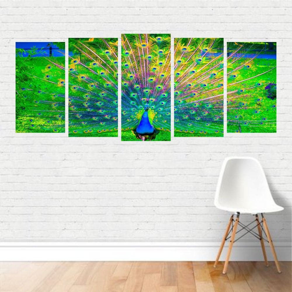 Quadro Animais Pavão Indiano Ave Pássaro Colorido Ocelos Can