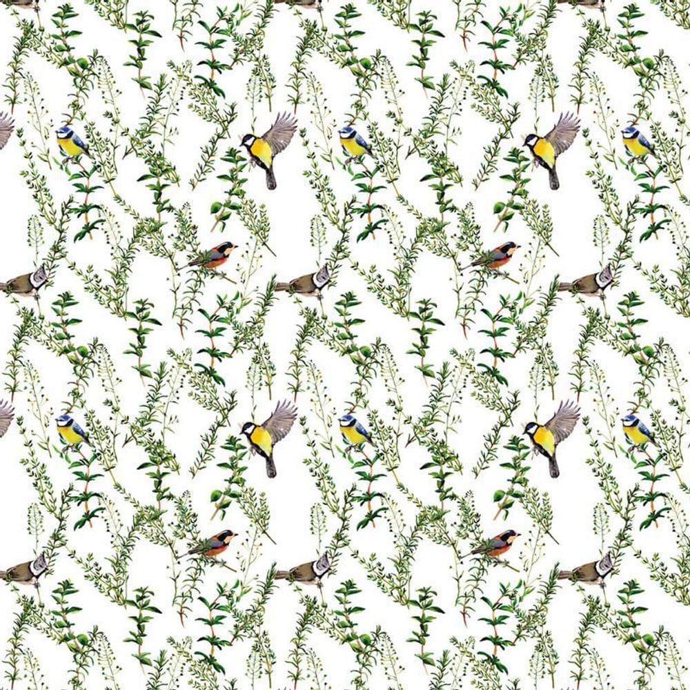 Papel De Parede Galhos E Pássaros Adesivo Decorativo Sala