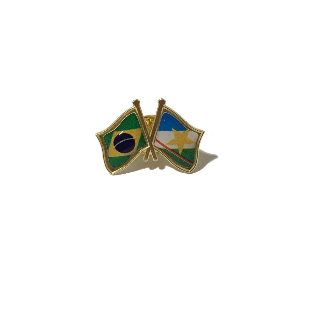 Pin Da Bandeira Do Brasil X Roraima