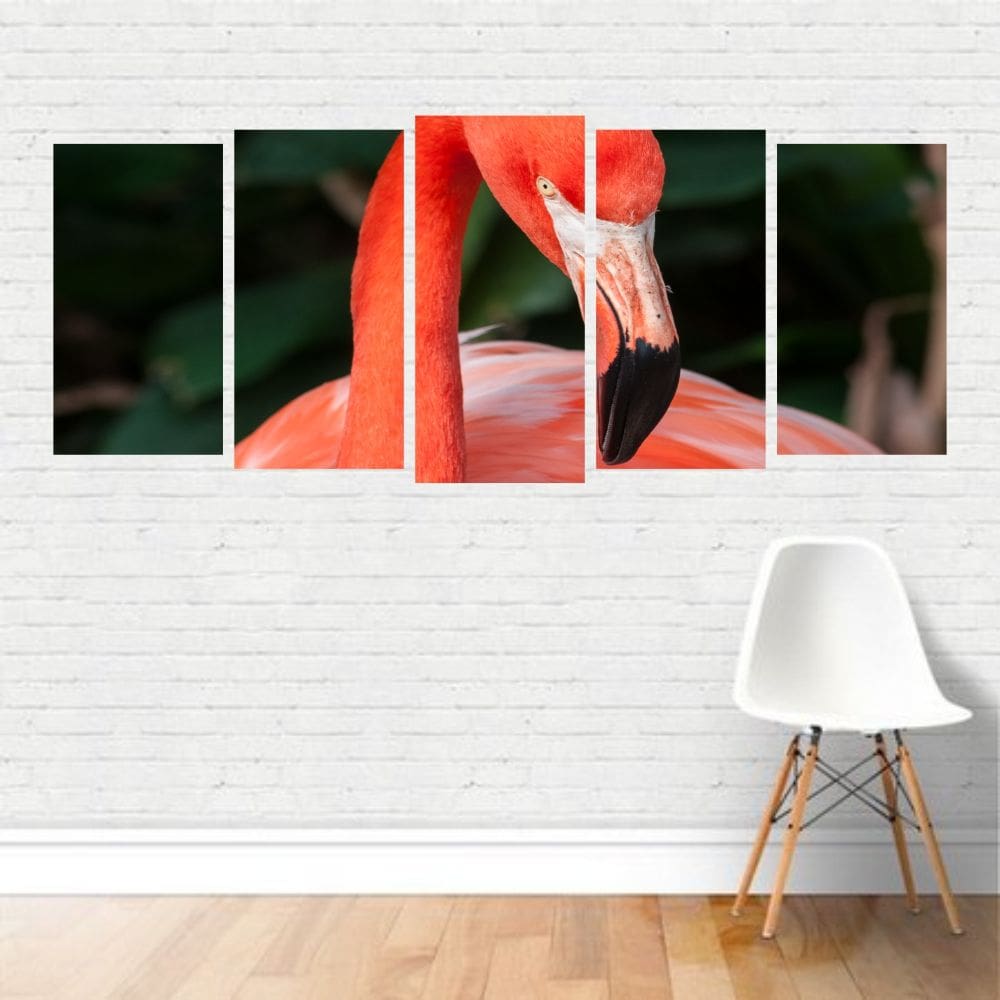 Quadro Animais Flamingo Rosado Comum Vermelho Ave Canvas