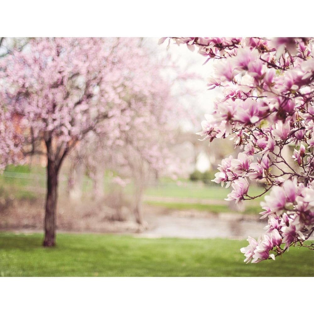 Fundo Fotográfico Em Tecido Floresta De Magnólia 2,60X1,50.