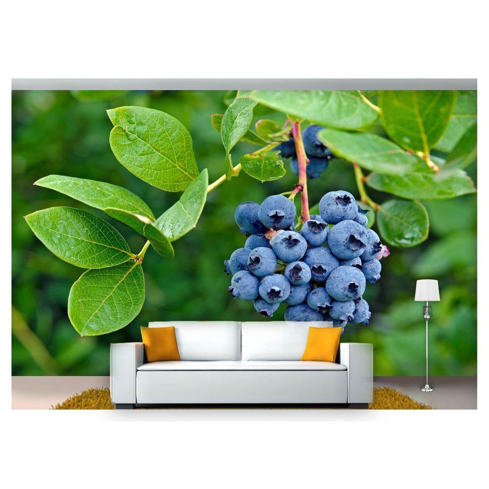 Papel De Parede Frutas Mitilos Roxos 3D Al94