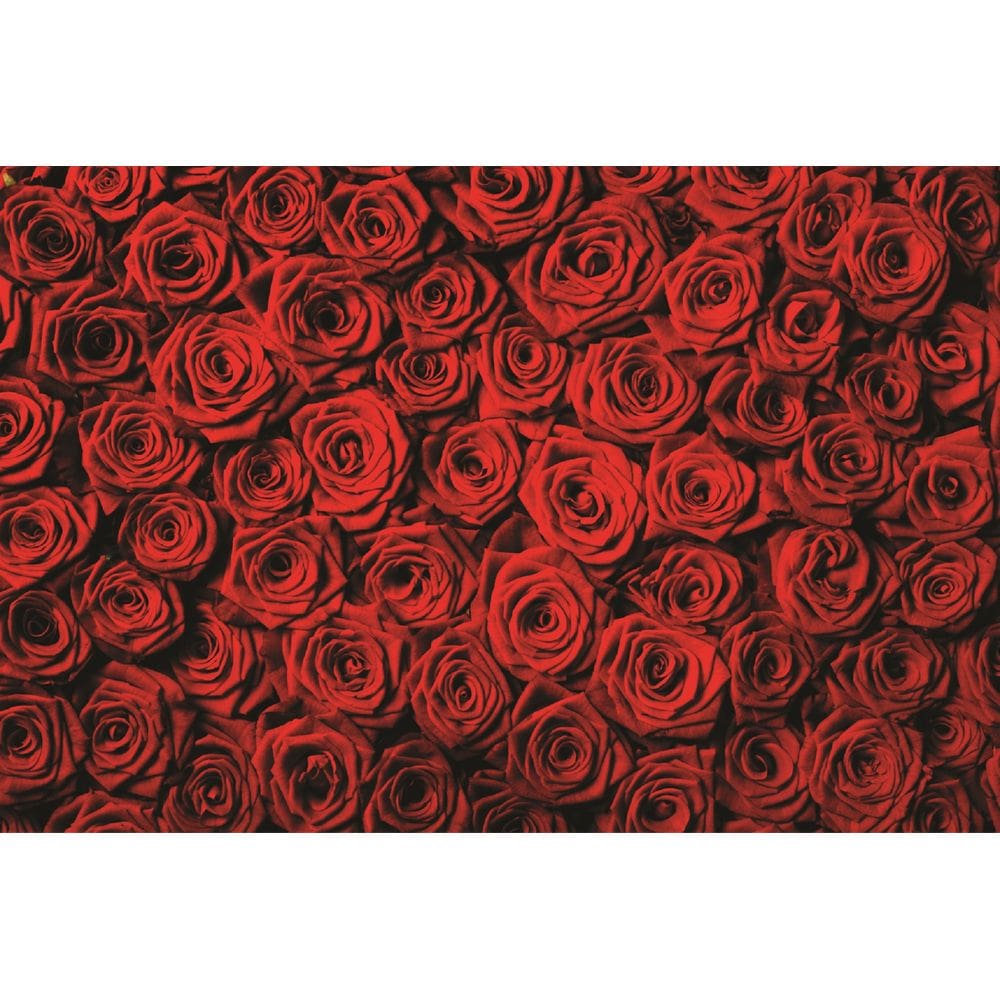 Fundo Fotográfico Em Tecido Rosas Vermelhas 2,60X1,50.