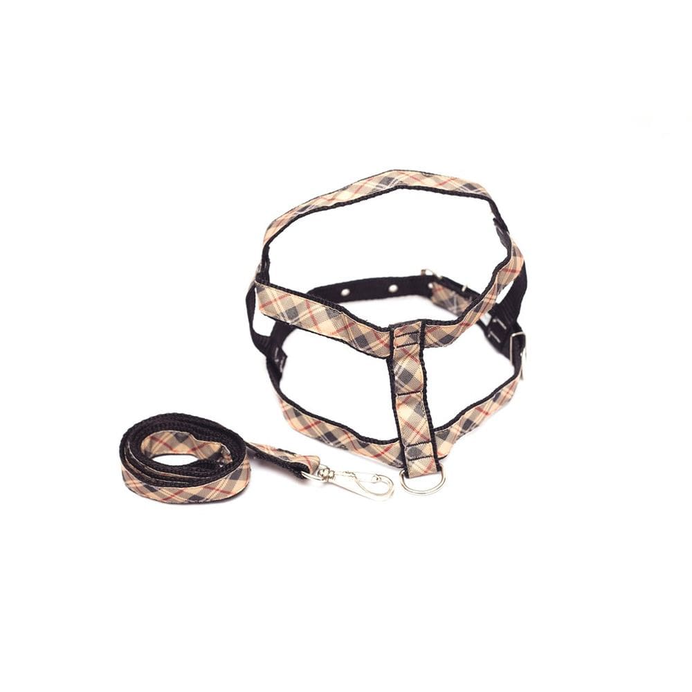 Kit Guia com peitoral 25mm marrom tamanho 6  53 cm a 70 cm