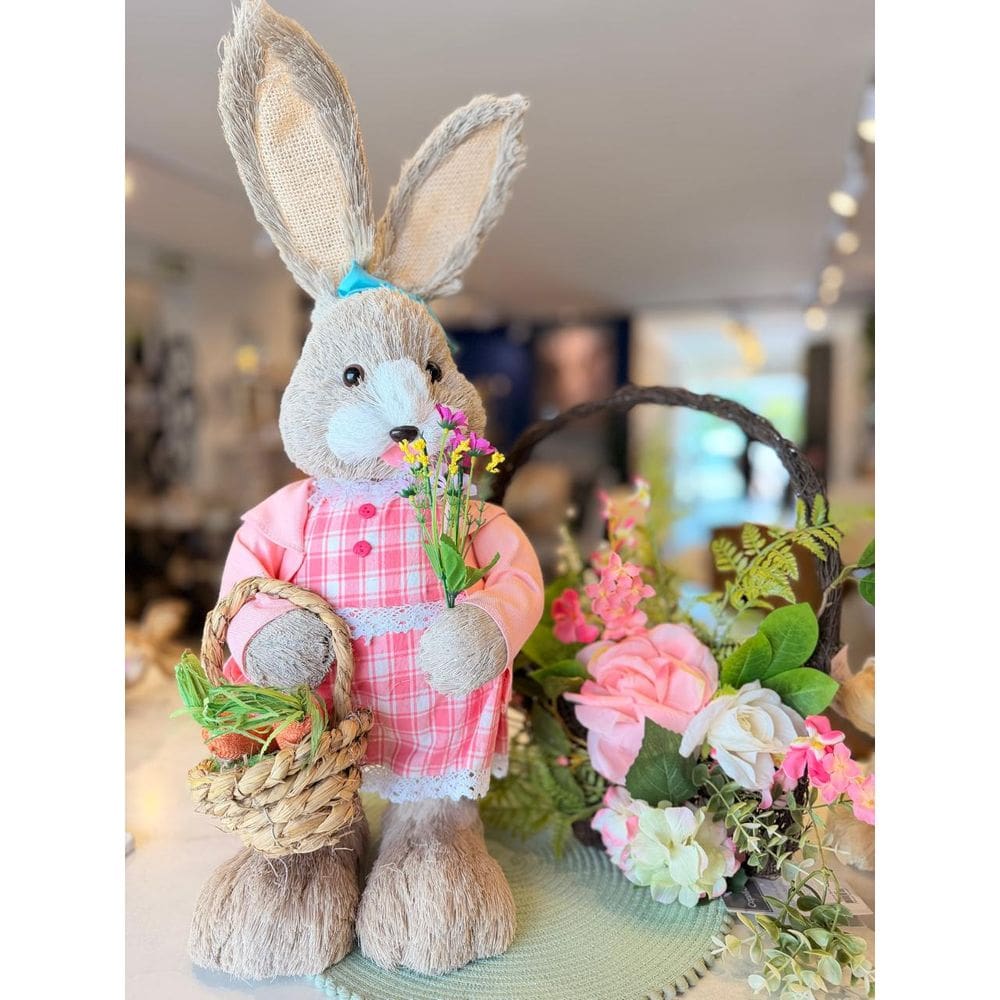 Coelha Dec Sort Cza/Ros/ 70Cm (St Louis) C/1 Un