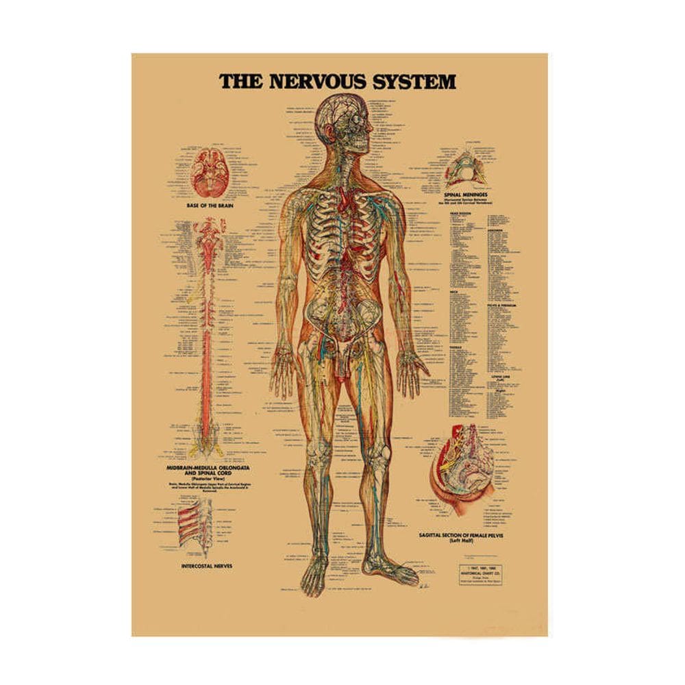 Pôster Ocean Waves Vintage Anime Movie Art 30x42cm