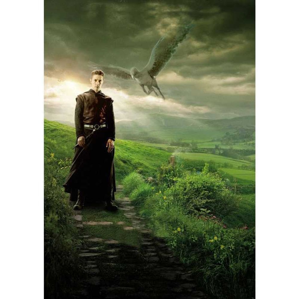 Pôster do filme Animais Fantásticos Newt Scamander 30x42cm