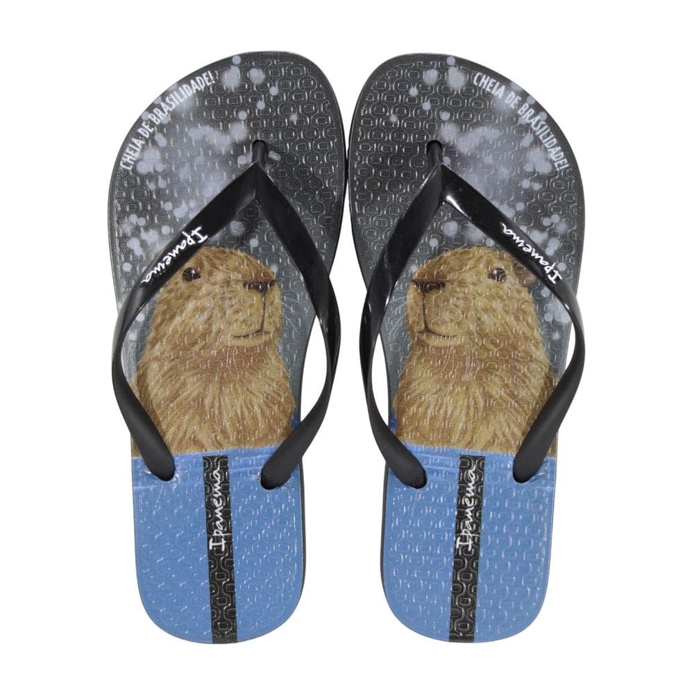 Chinelo Ipanema Pets Pop Preto/Azul/Marrom
