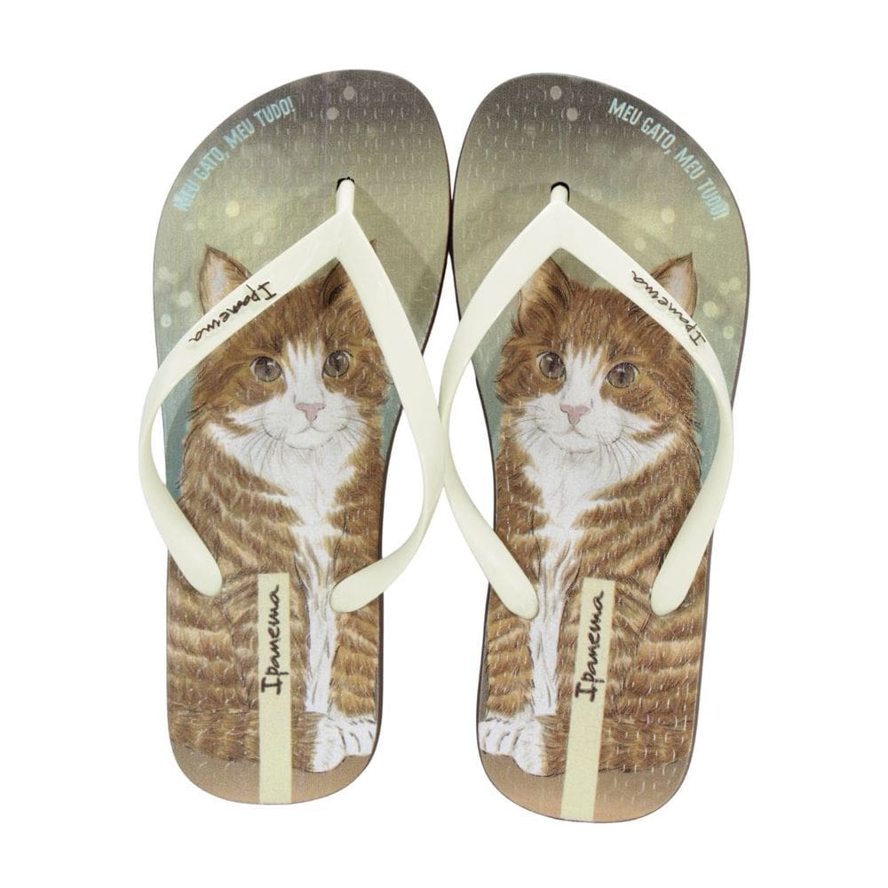 Chinelo Ipanema Pets Pop Marrom/Bege