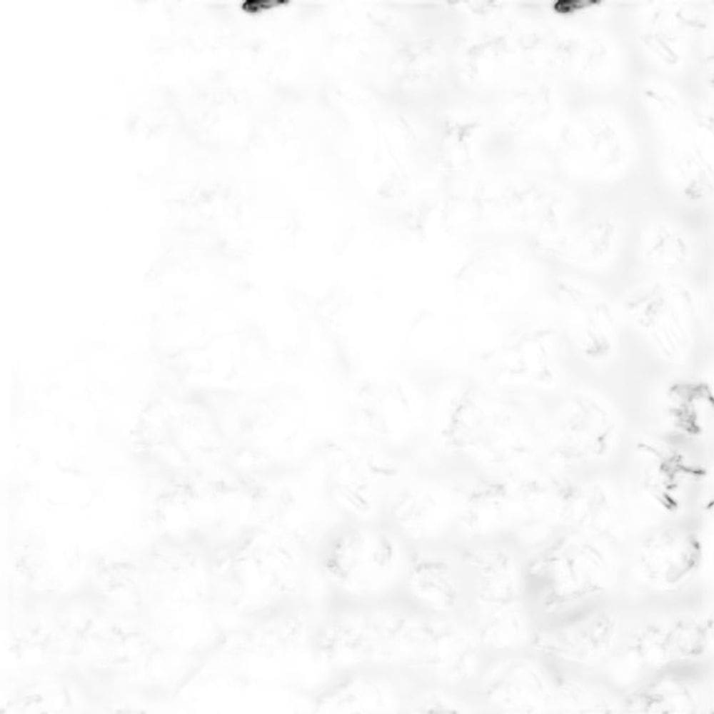 Papel Parede Adesivo Branco E Desenho Skate Preto Decorativo