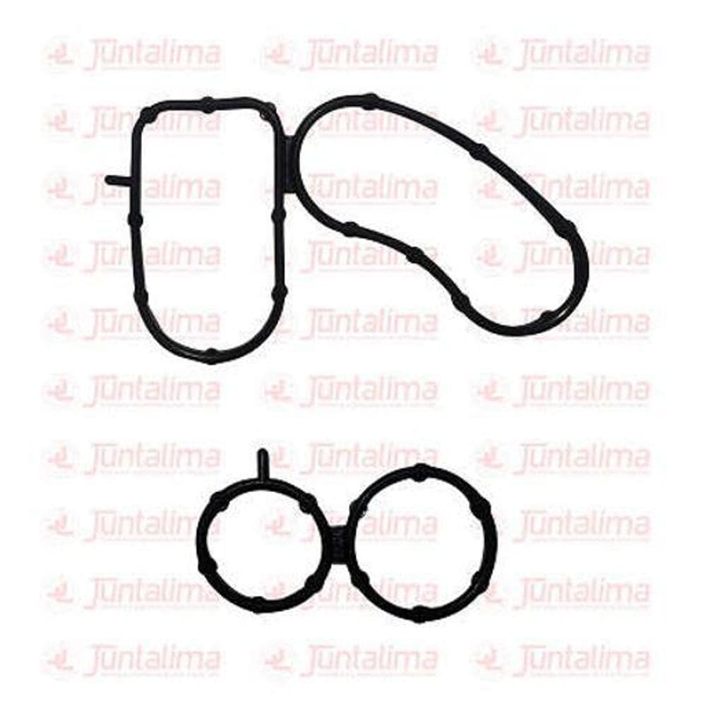 Kit Suporte Filtro Oleo Toro 2.0 16V Diesel 40467K