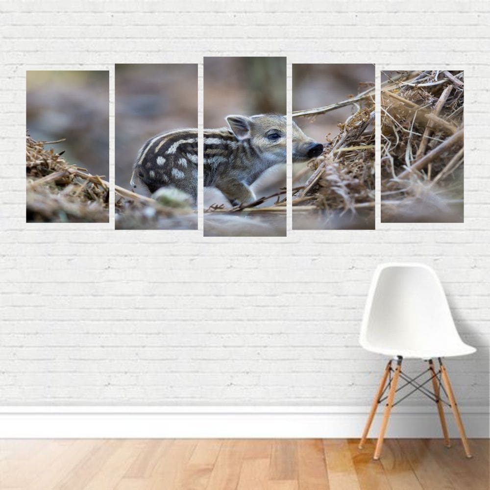 Quadro Animais Javali Filhote Porcobravo Javardo Madeira Can