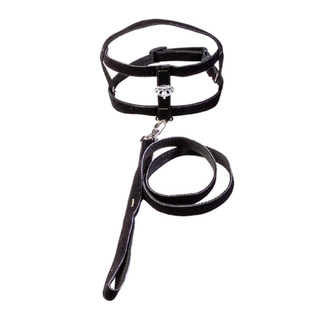 Coleira Peitoral Tradicional Com Aplique - Nº 05