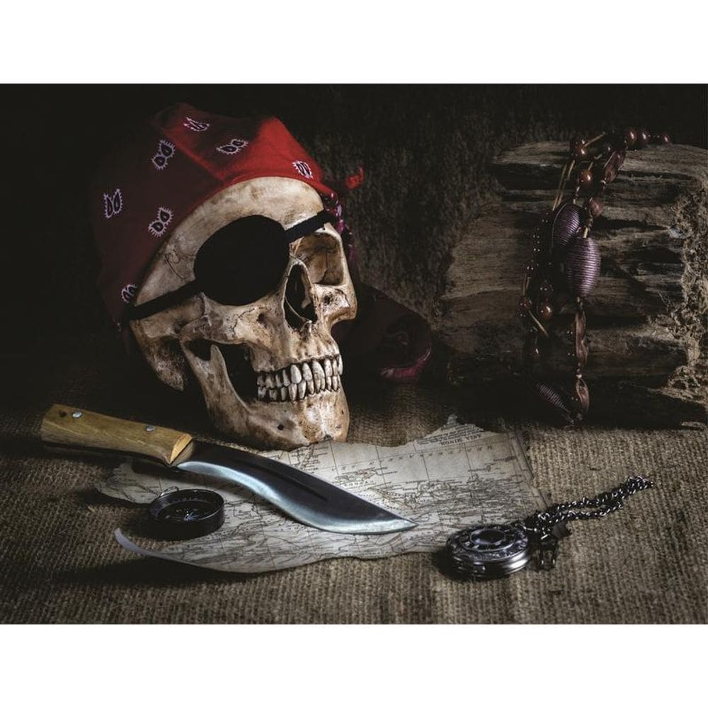 Fundo Fotográfico Em Tecido Pirata 2,60X1,50