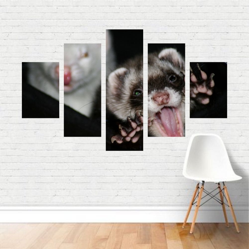 Quadro em tela Canvas  Furões Domésticos Sorrindo  110x65