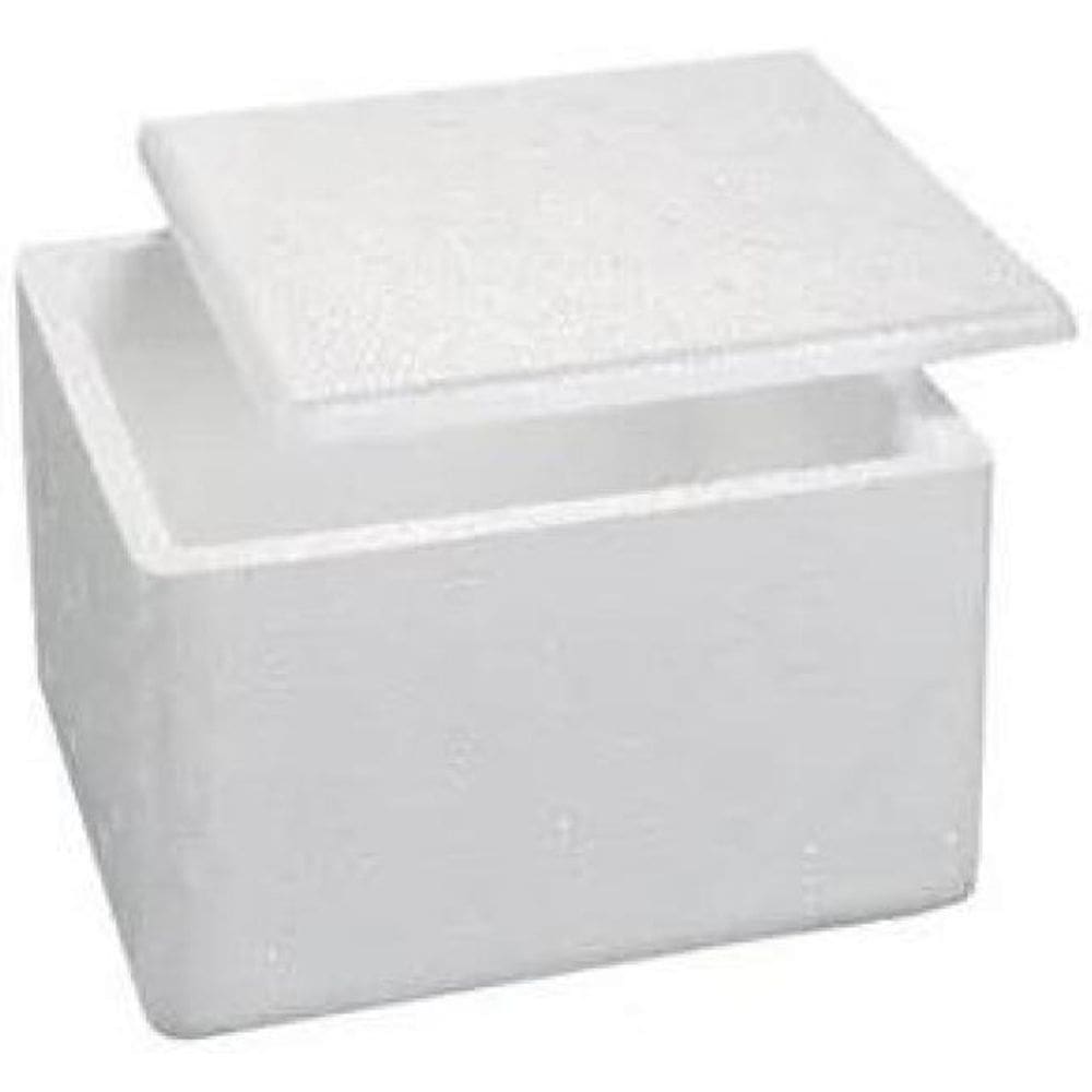 5 Un De Caixa Isopor Pequena 1Kg - 1L , Vacina